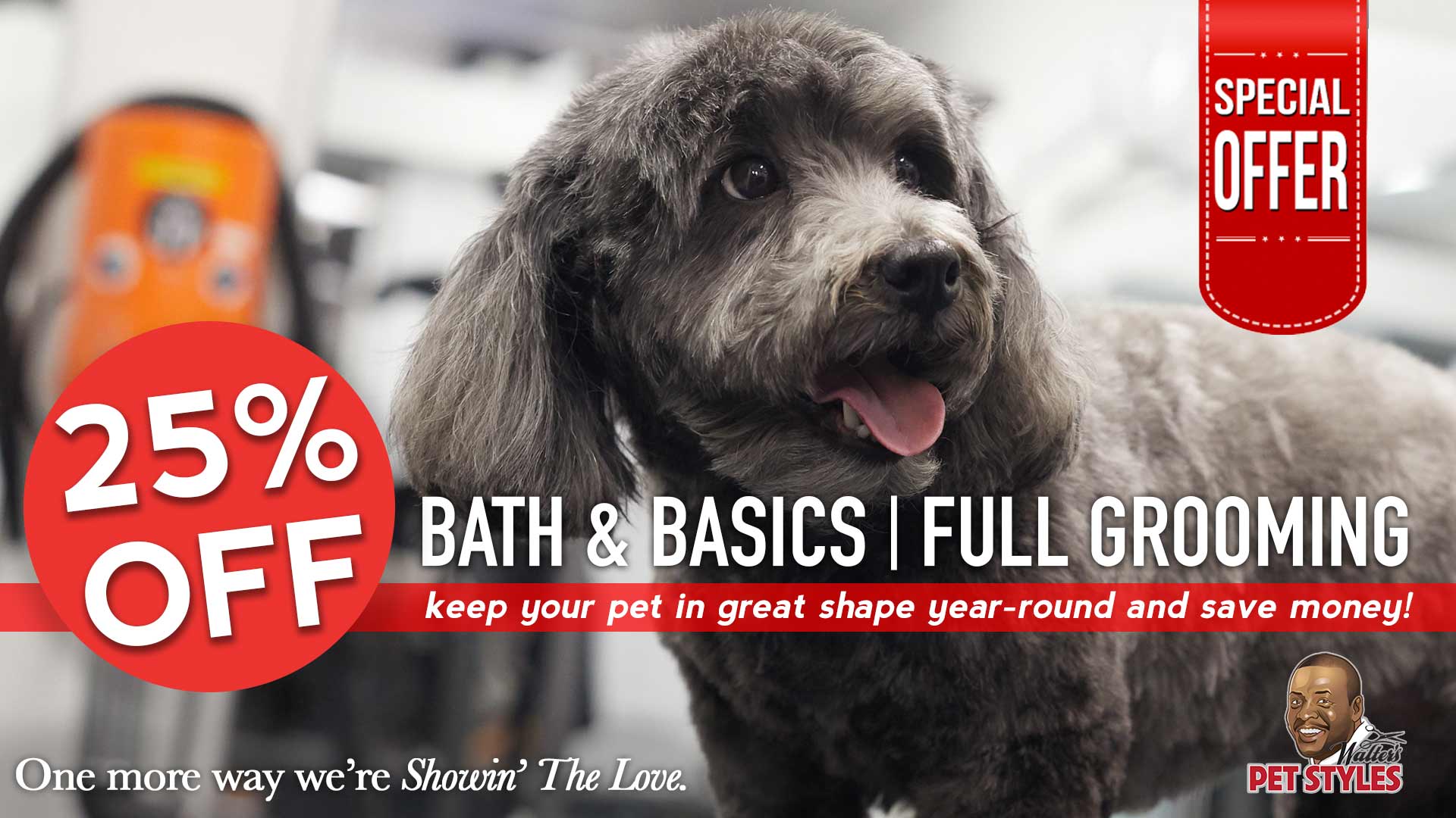 walter's pet styles dog grooming save money.jpg